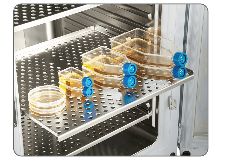 CO2 Incubator