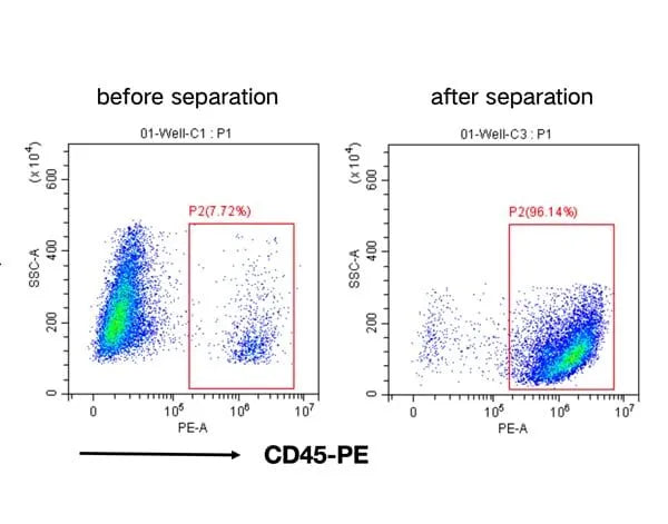Mouse CD45+ Cell Separation Kit