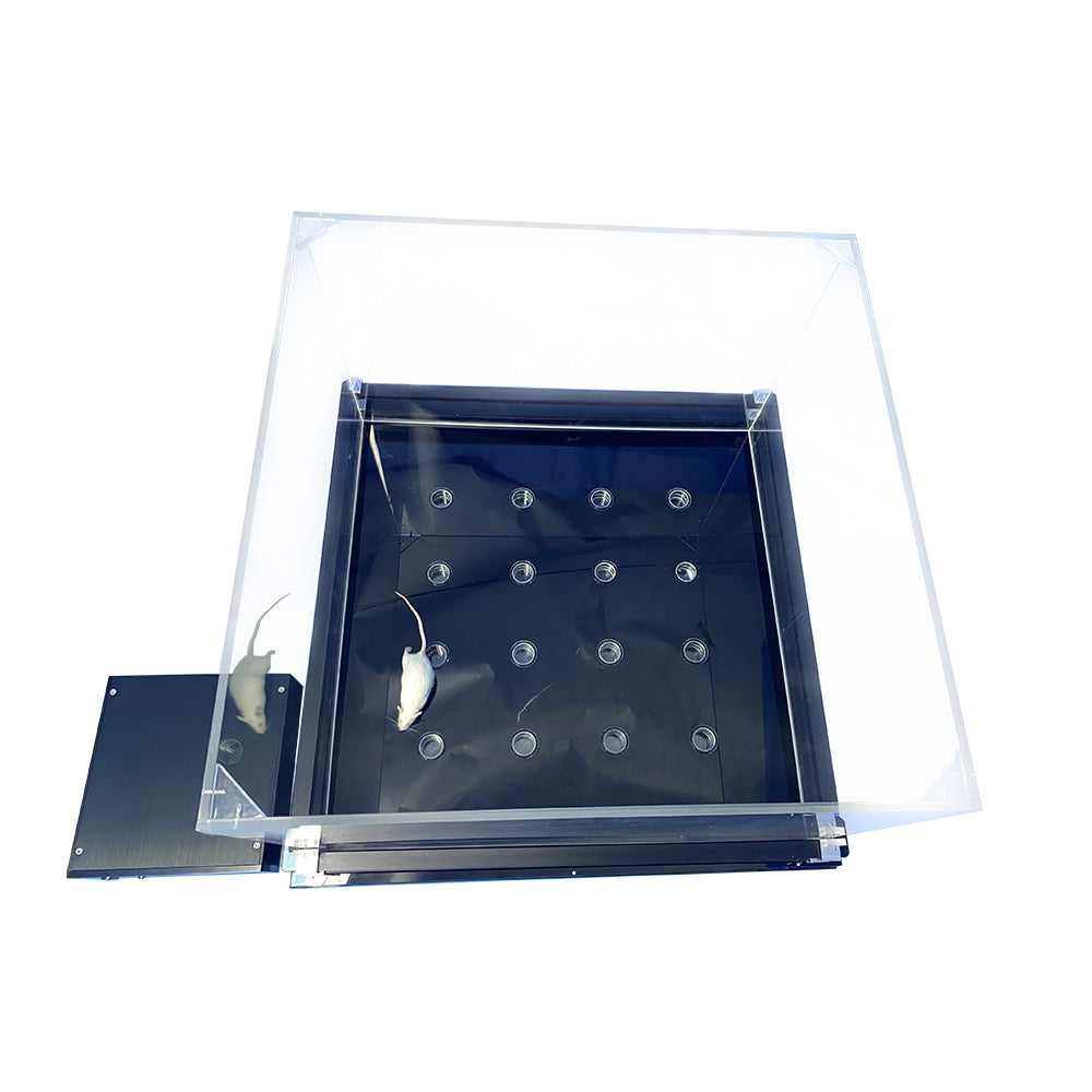 IR Hole Board Test