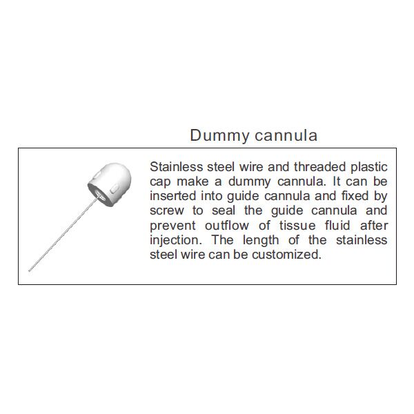 Laboratory Animals Brain Single Cannula